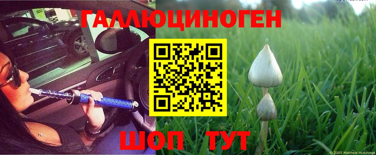 Галлюциногенные грибы ЛСД  Вход с VPN  Димитровград 